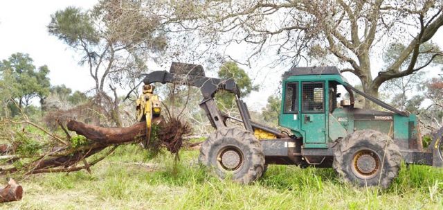 El nuevo escenario econ mico favorece al sector exportador de